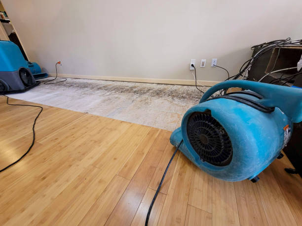 Reliable Basement Flood Cleanup contractor in Urbana, IL by Hirex Water Damage