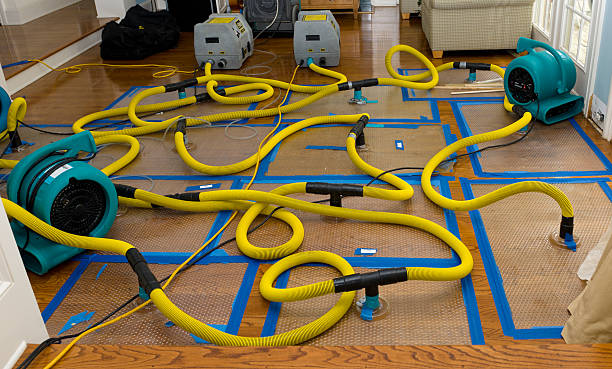 Professional Basement Flood Cleanup technician working in Urbana, IL